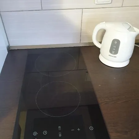 U Marty S Terasou Apartmán Šakvice